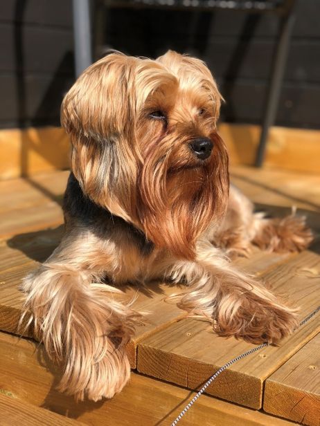 Foto: Hilde M Grensbråten